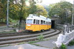 Tramwaje